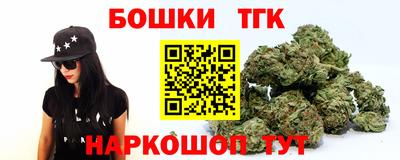 гашик Кандалакша