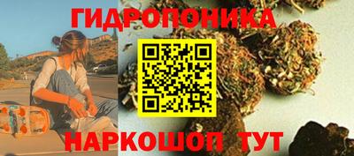 скорость Камышлов