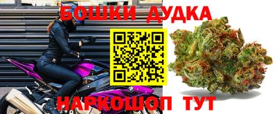 гашик Кандалакша