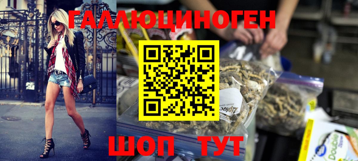 Королёв  Псилоцибиновые грибы ЛСД  Вход с VPN  Псилоцибиновые грибы GOLDEN TEACHER 